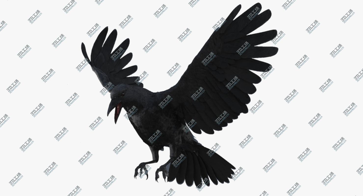 images/goods_img/20210113/3D Crow Rigged model/2.jpg